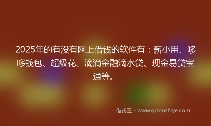 2025年的有没有网上借钱的软件有：薪小用、哆哆钱包、超级花、滴滴金融滴水贷、现金易贷宝通等。