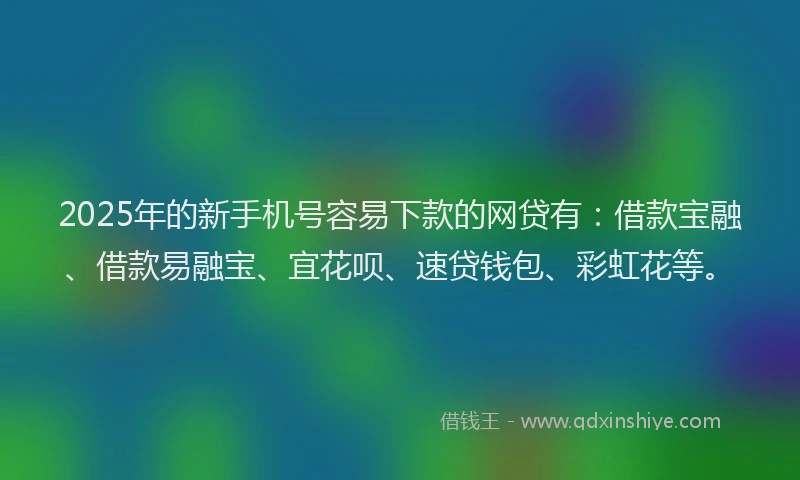 2025年的新手机号容易下款的网贷有：借款宝融、借款易融宝、宜花呗、速贷钱包、彩虹花等。