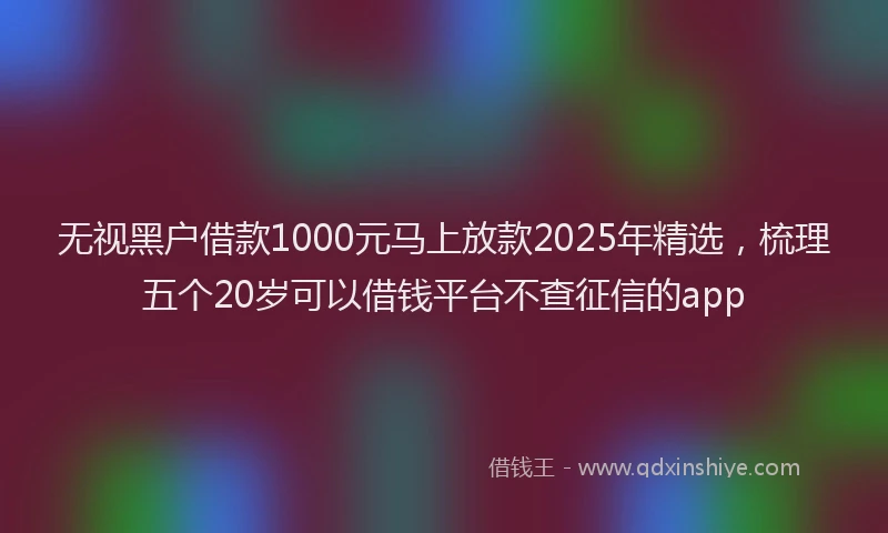 无视黑户借款1000元马上放款2025年精选，梳理五个20岁可以借钱平台不查征信的app