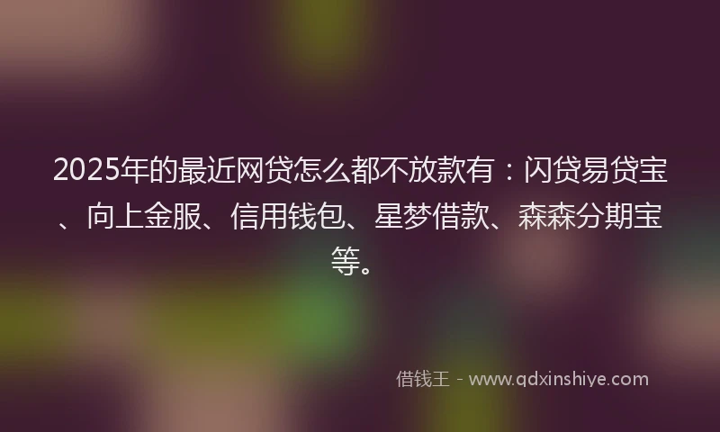 2025年的最近网贷怎么都不放款有：闪贷易贷宝、向上金服、信用钱包、星梦借款、森森分期宝等。