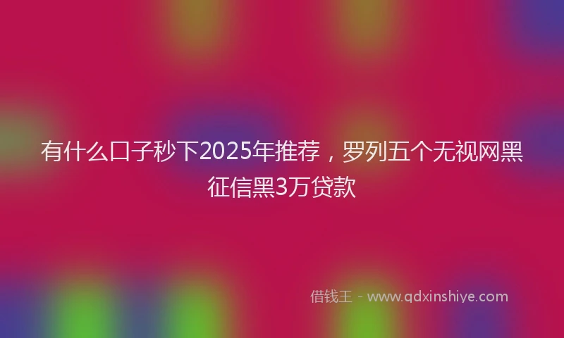 有什么口子秒下2025年推荐，罗列五个无视网黑征信黑3万贷款