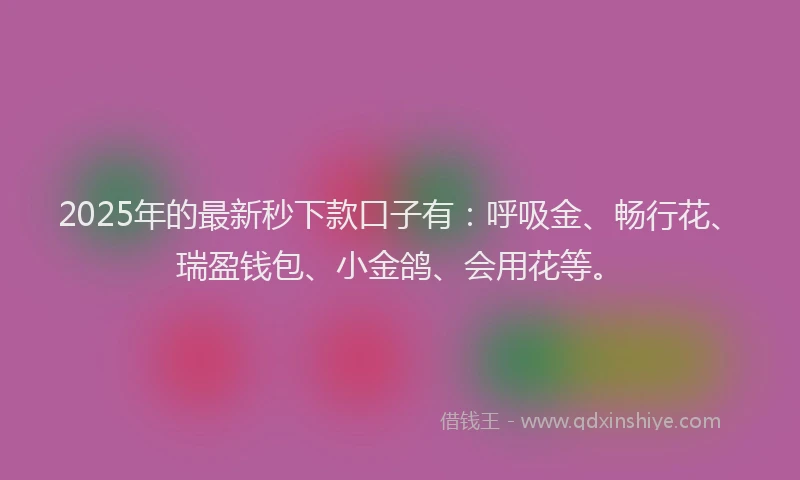 2025年的最新秒下款口子有：呼吸金、畅行花、瑞盈钱包、小金鸽、会用花等。