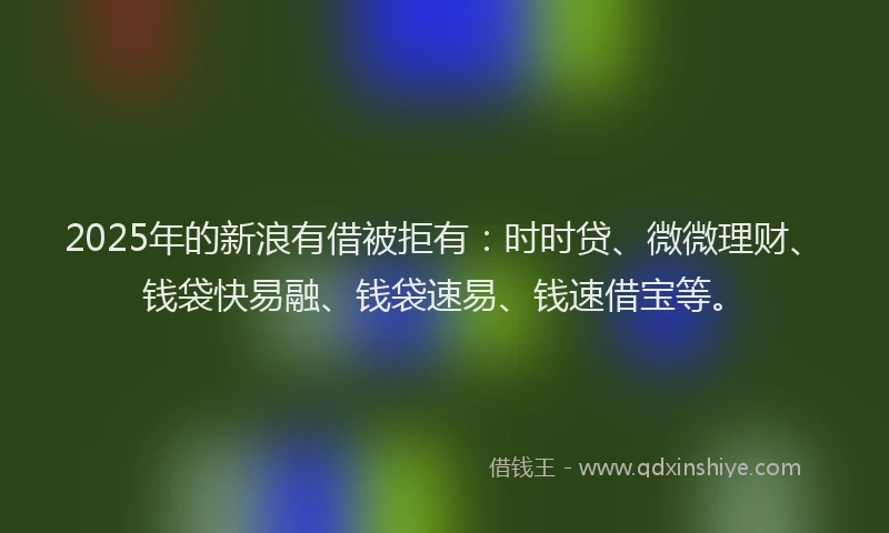 2025年的新浪有借被拒有：时时贷、微微理财、钱袋快易融、钱袋速易、钱速借宝等。