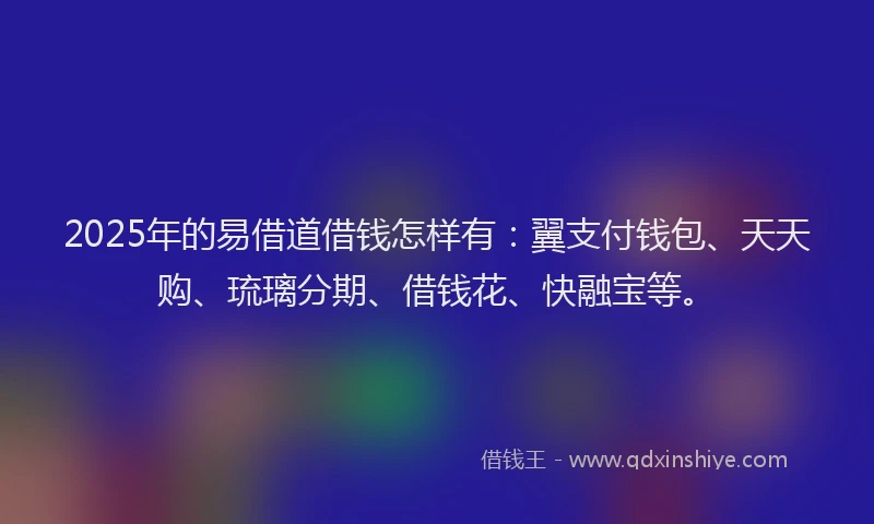 2025年的易借道借钱怎样有：翼支付钱包、天天购、琉璃分期、借钱花、快融宝等。