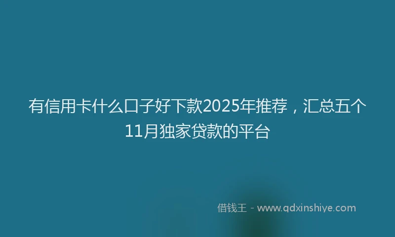 有信用卡什么口子好下款2025年推荐，汇总五个11月独家贷款的平台