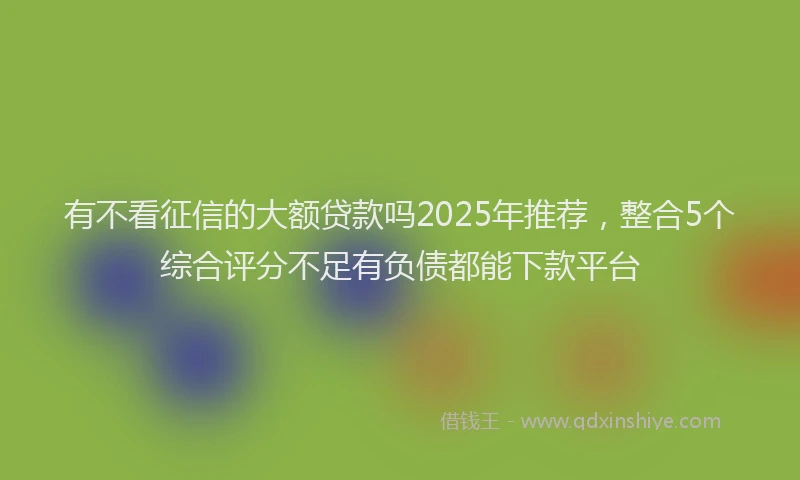 有不看征信的大额贷款吗2025年推荐，整合5个综合评分不足有负债都能下款平台