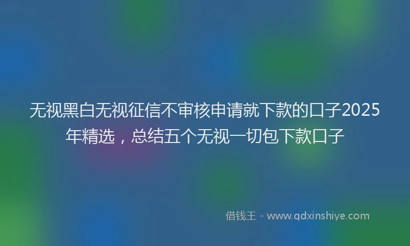 无视黑白无视征信不审核申请就下款的口子2025年精选，总结五个无视一切包下款口子