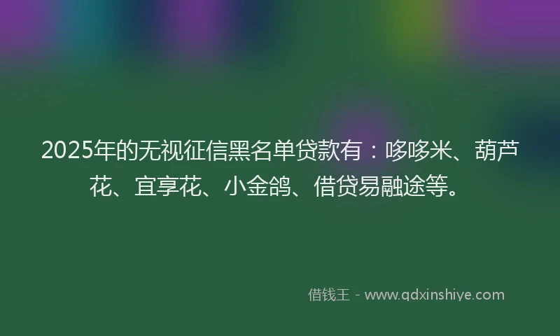 2025年的无视征信黑名单贷款有：哆哆米、葫芦花、宜享花、小金鸽、借贷易融途等。
