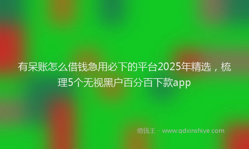 有呆账怎么借钱急用必下的平台2025年精选，梳理5个无视黑户百分百下款app