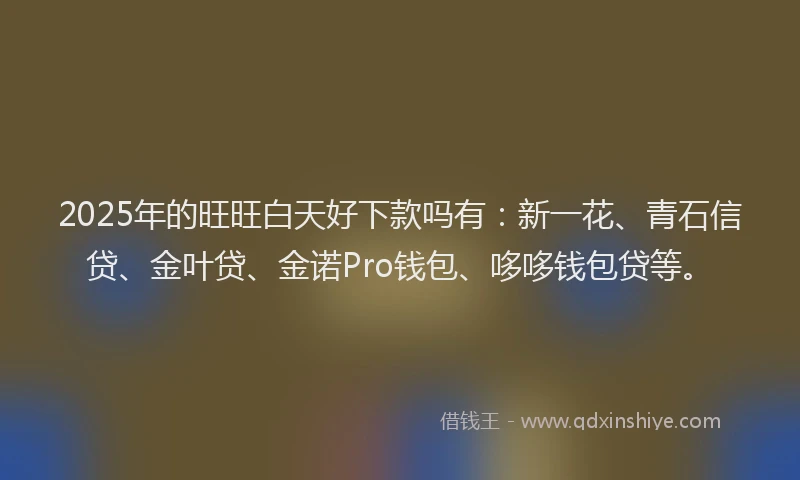 2025年的旺旺白天好下款吗有：新一花、青石信贷、金叶贷、金诺Pro钱包、哆哆钱包贷等。