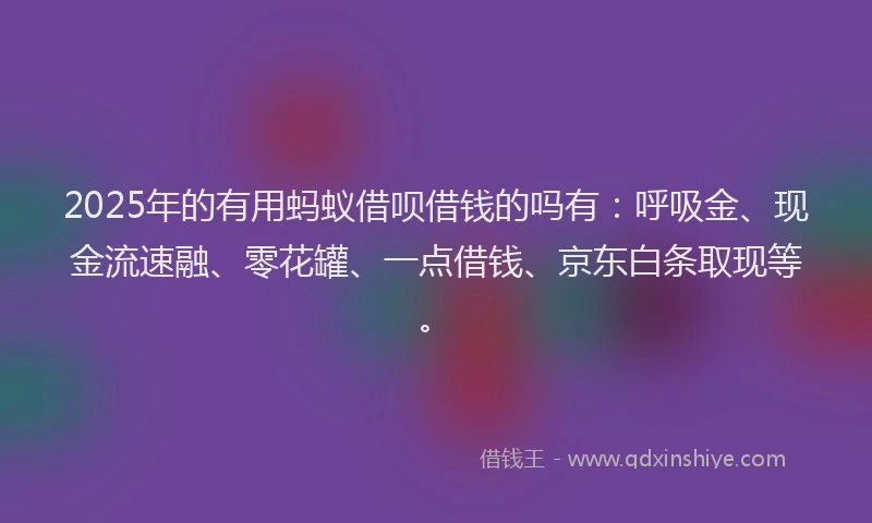 2025年的有用蚂蚁借呗借钱的吗有：呼吸金、现金流速融、零花罐、一点借钱、京东白条取现等。