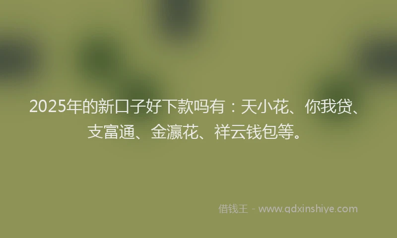 2025年的新口子好下款吗有：天小花、你我贷、支富通、金瀛花、祥云钱包等。