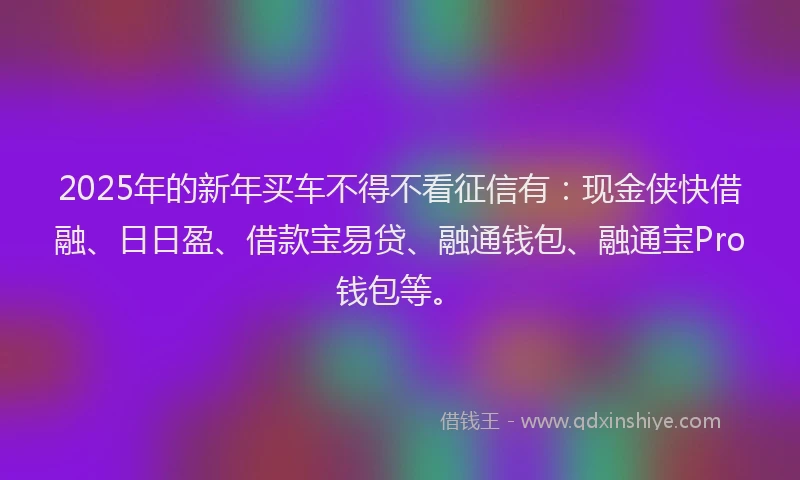 2025年的新年买车不得不看征信有：现金侠快借融、日日盈、借款宝易贷、融通钱包、融通宝Pro钱包等。