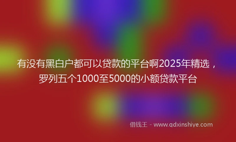 有没有黑白户都可以贷款的平台啊2025年精选，罗列五个1000至5000的小额贷款平台