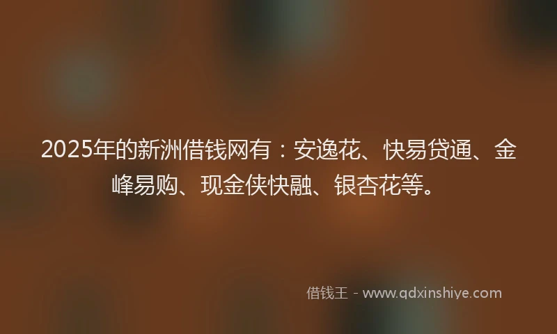 2025年的新洲借钱网有：安逸花、快易贷通、金峰易购、现金侠快融、银杏花等。