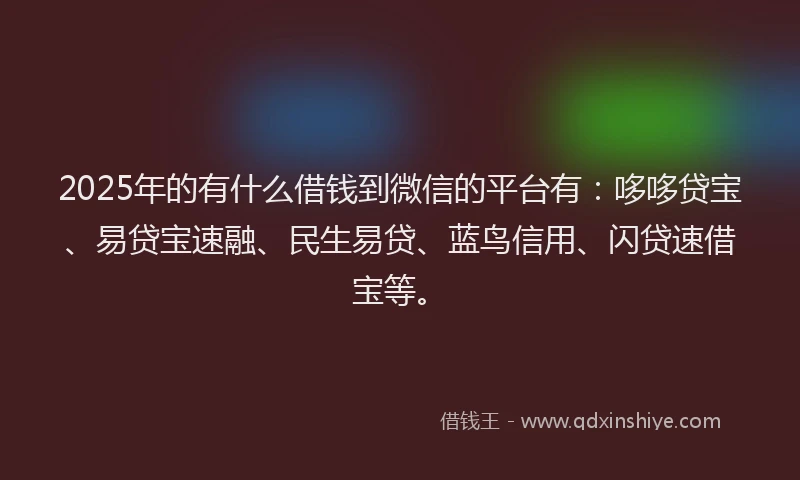 2025年的有什么借钱到微信的平台有：哆哆贷宝、易贷宝速融、民生易贷、蓝鸟信用、闪贷速借宝等。