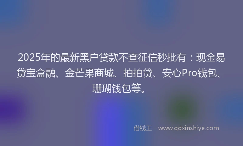 2025年的最新黑户贷款不查征信秒批有：现金易贷宝盒融、金芒果商城、拍拍贷、安心Pro钱包、珊瑚钱包等。