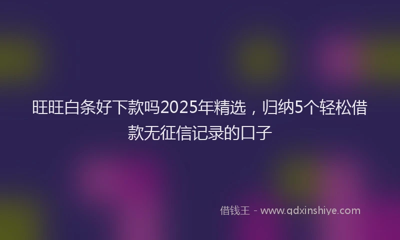 旺旺白条好下款吗2025年精选，归纳5个轻松借款无征信记录的口子