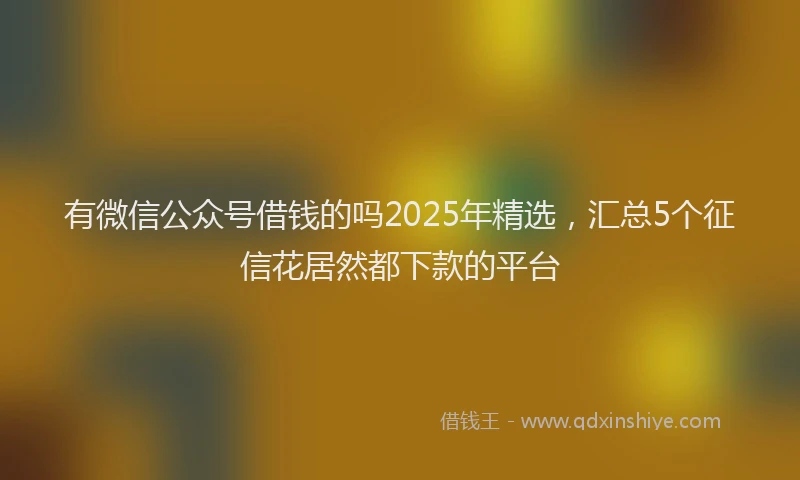 有微信公众号借钱的吗2025年精选，汇总5个征信花居然都下款的平台