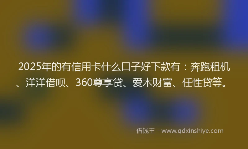 2025年的有信用卡什么口子好下款有：奔跑租机、洋洋借呗、360尊享贷、爱木财富、任性贷等。