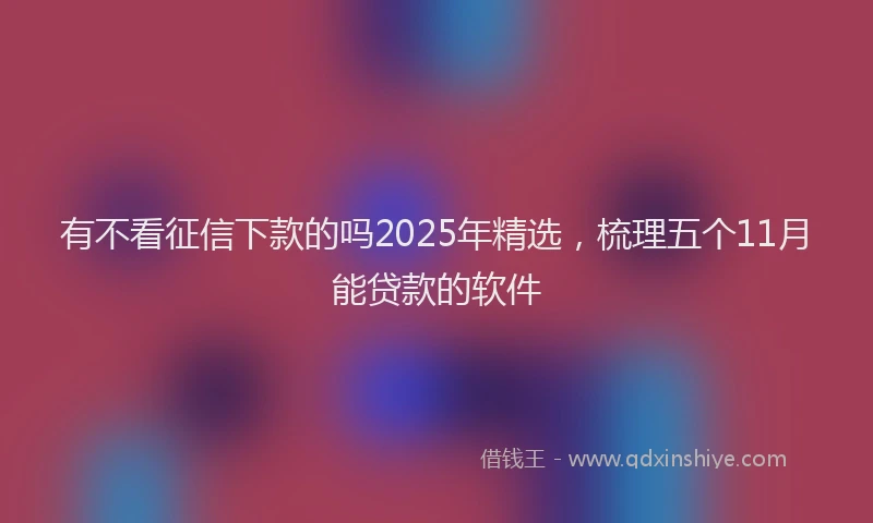 有不看征信下款的吗2025年精选，梳理五个11月能贷款的软件
