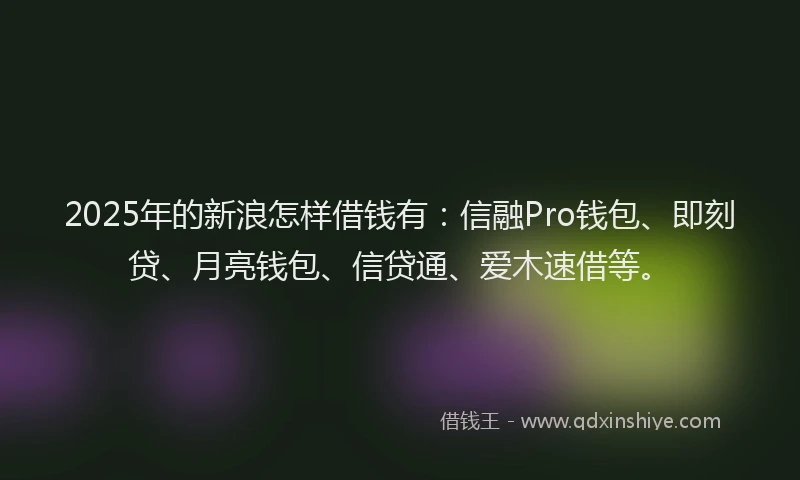 2025年的新浪怎样借钱有：信融Pro钱包、即刻贷、月亮钱包、信贷通、爱木速借等。