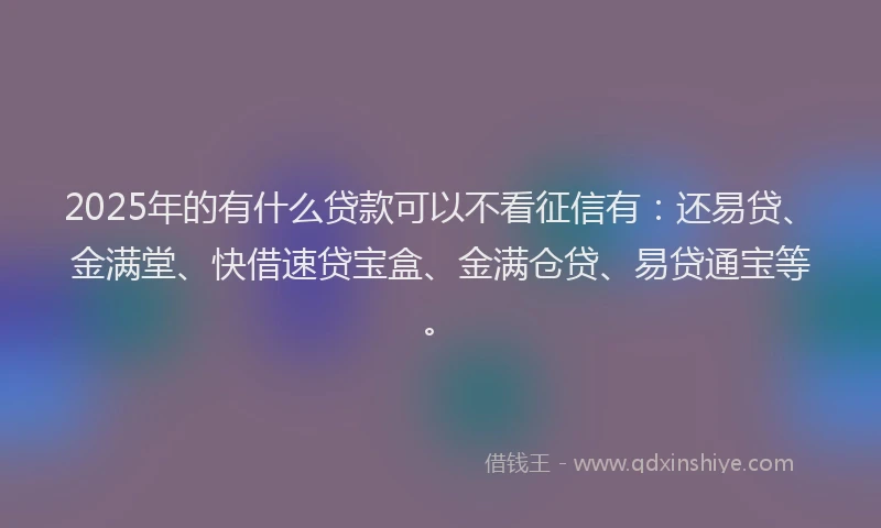 2025年的有什么贷款可以不看征信有：还易贷、金满堂、快借速贷宝盒、金满仓贷、易贷通宝等。