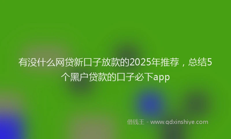 有没什么网贷新口子放款的2025年推荐，总结5个黑户贷款的口子必下app