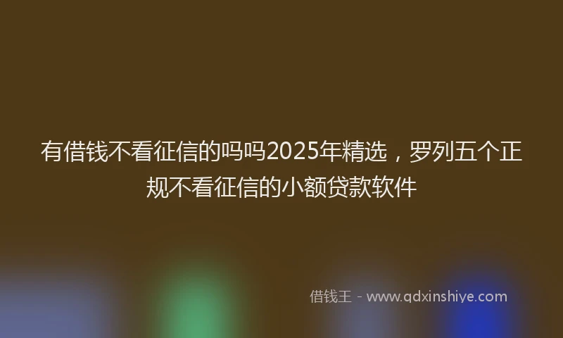 有借钱不看征信的吗吗2025年精选，罗列五个正规不看征信的小额贷款软件