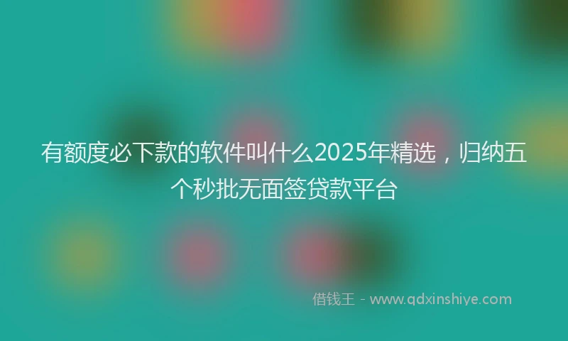 有额度必下款的软件叫什么2025年精选，归纳五个秒批无面签贷款平台