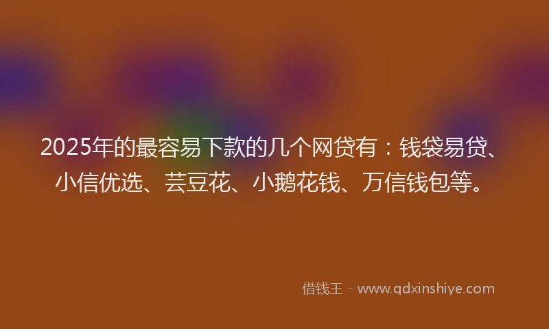2025年的最容易下款的几个网贷有：钱袋易贷、小信优选、芸豆花、小鹅花钱、万信钱包等。