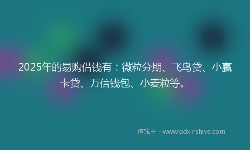 2025年的易购借钱有：微粒分期、飞鸟贷、小赢卡贷、万信钱包、小麦粒等。