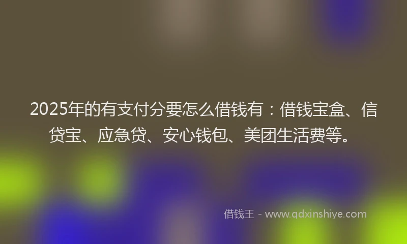 2025年的有支付分要怎么借钱有：借钱宝盒、信贷宝、应急贷、安心钱包、美团生活费等。