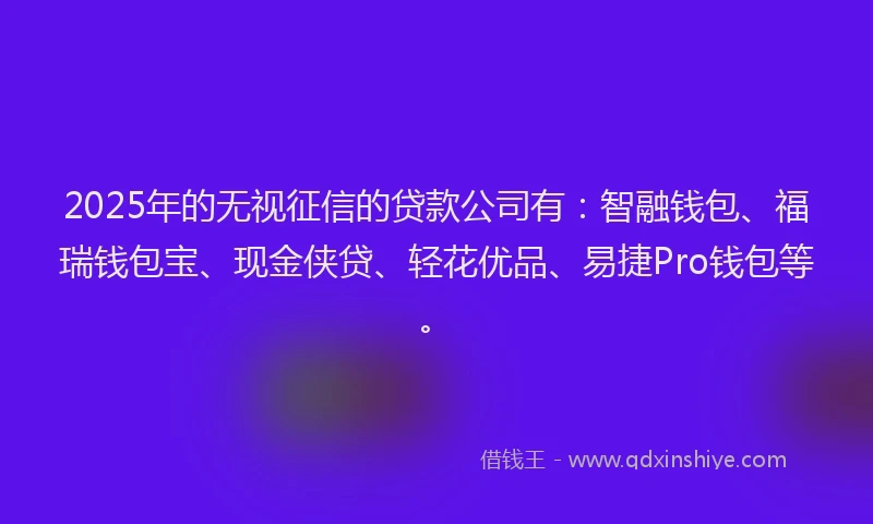 2025年的无视征信的贷款公司有：智融钱包、福瑞钱包宝、现金侠贷、轻花优品、易捷Pro钱包等。