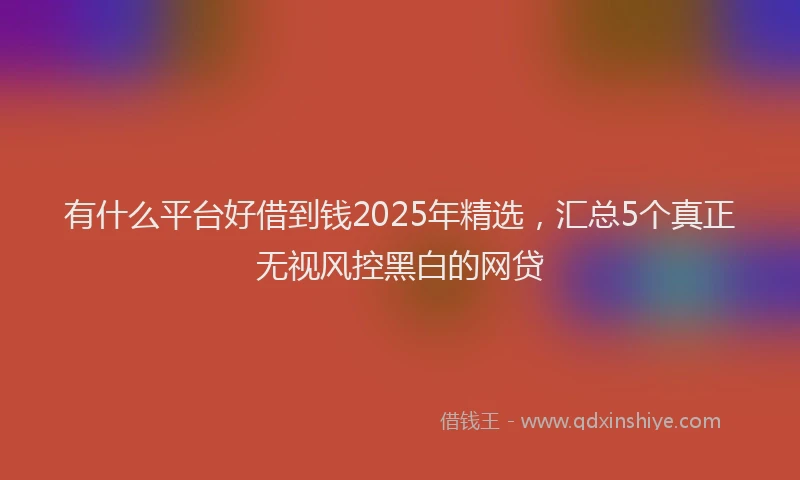 有什么平台好借到钱2025年精选，汇总5个真正无视风控黑白的网贷