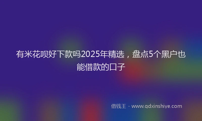 有米花呗好下款吗2025年精选，盘点5个黑户也能借款的口子
