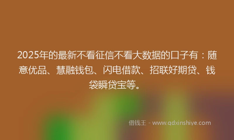 2025年的最新不看征信不看大数据的口子有：随意优品、慧融钱包、闪电借款、招联好期贷、钱袋瞬贷宝等。
