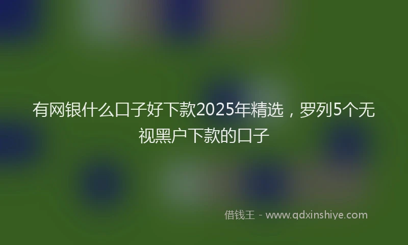 有网银什么口子好下款2025年精选，罗列5个无视黑户下款的口子
