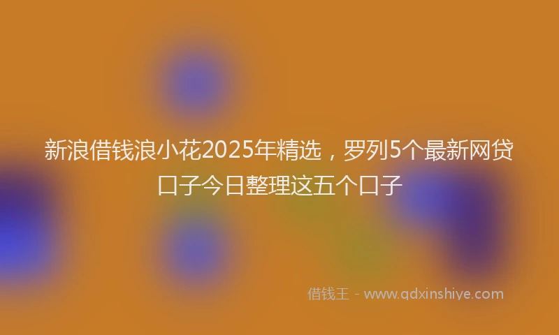 新浪借钱浪小花2025年精选，罗列5个最新网贷口子今日整理这五个口子