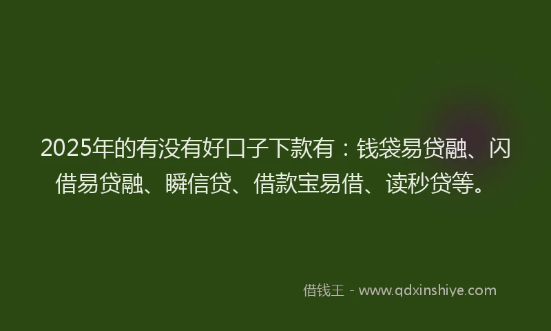2025年的有没有好口子下款有：钱袋易贷融、闪借易贷融、瞬信贷、借款宝易借、读秒贷等。