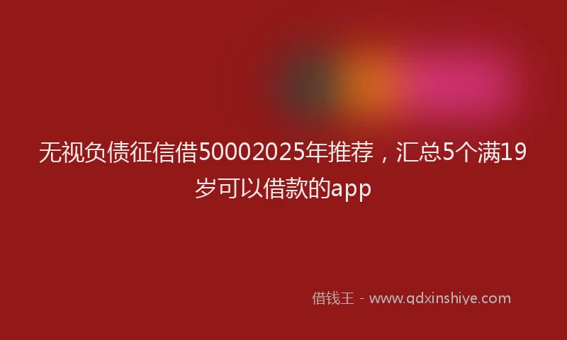 无视负债征信借50002025年推荐，汇总5个满19岁可以借款的app