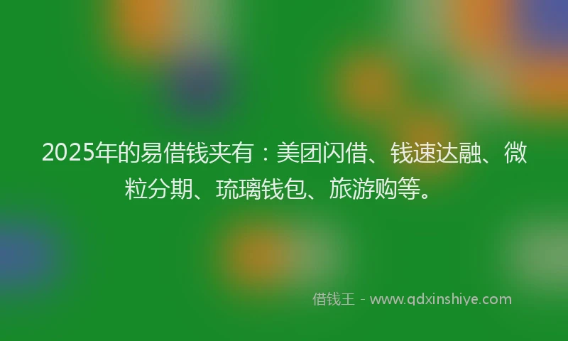 2025年的易借钱夹有：美团闪借、钱速达融、微粒分期、琉璃钱包、旅游购等。