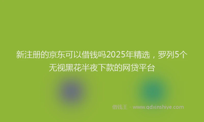 新注册的京东可以借钱吗2025年精选，罗列5个无视黑花半夜下款的网贷平台