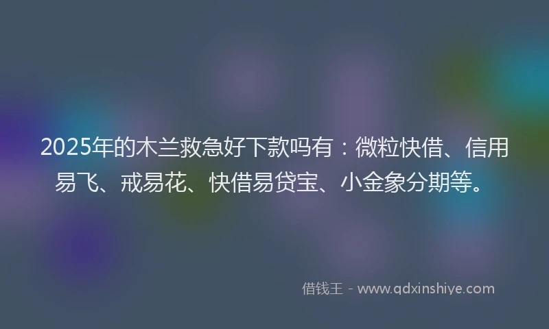 2025年的木兰救急好下款吗有：微粒快借、信用易飞、戒易花、快借易贷宝、小金象分期等。