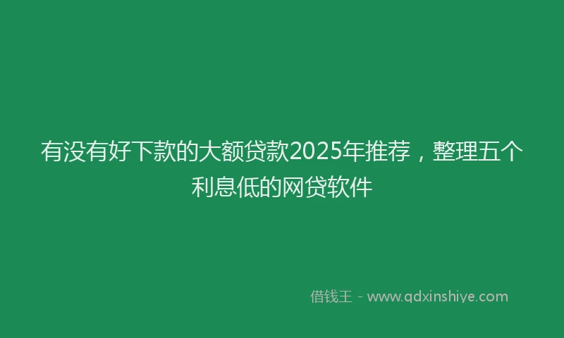 有没有好下款的大额贷款2025年推荐，整理五个利息低的网贷软件
