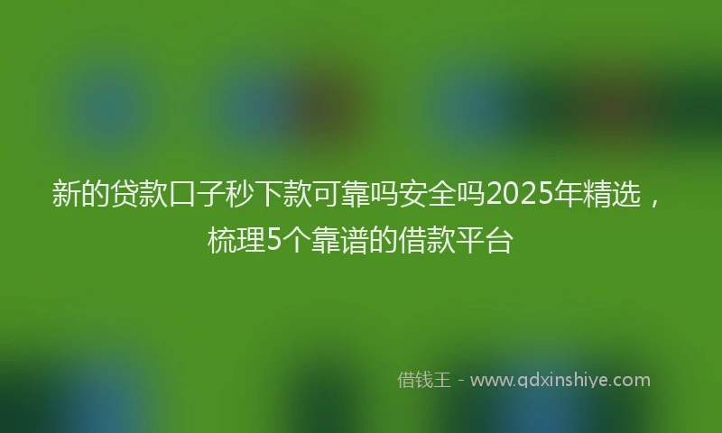 新的贷款口子秒下款可靠吗安全吗2025年精选，梳理5个靠谱的借款平台