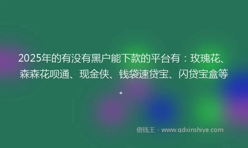 2025年的有没有黑户能下款的平台有：玫瑰花、森森花呗通、现金侠、钱袋速贷宝、闪贷宝盒等。