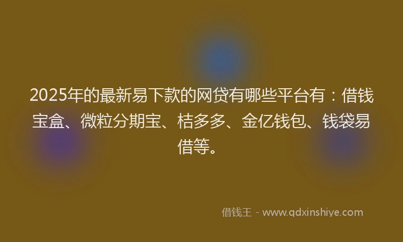 2025年的最新易下款的网贷有哪些平台有：借钱宝盒、微粒分期宝、桔多多、金亿钱包、钱袋易借等。