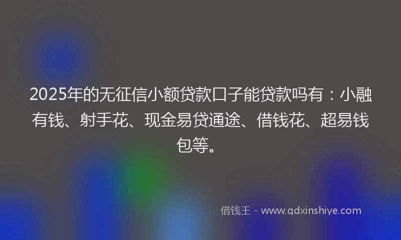 2025年的无征信小额贷款口子能贷款吗有：小融有钱、射手花、现金易贷通途、借钱花、超易钱包等。