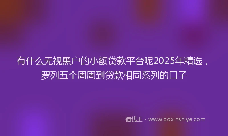 有什么无视黑户的小额贷款平台呢2025年精选，罗列五个周周到贷款相同系列的口子